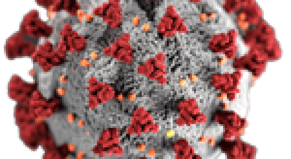 Molecule of the coronavirus