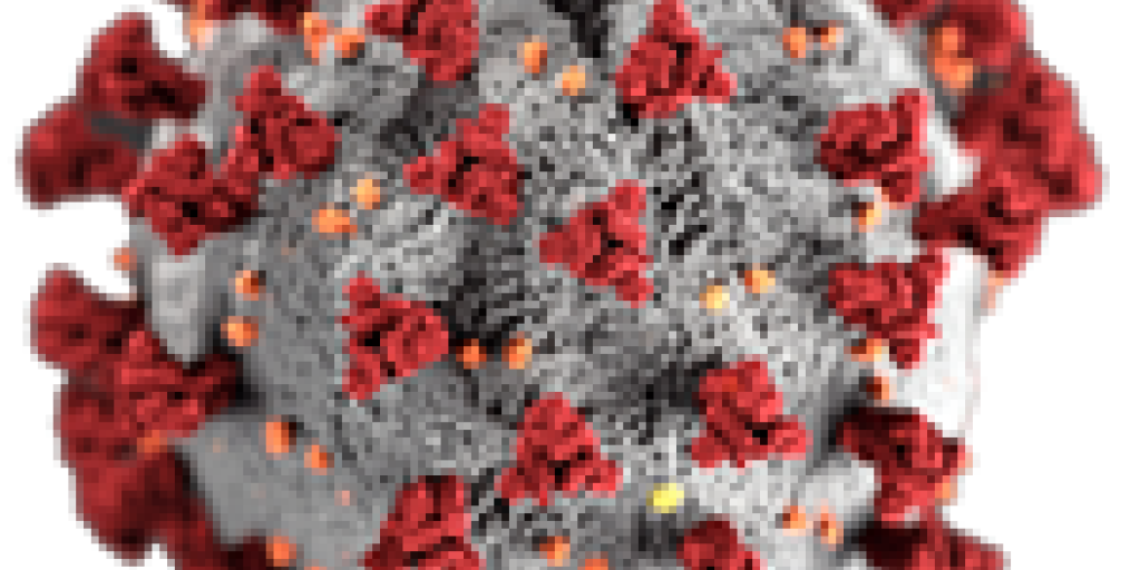 Molecule of the coronavirus